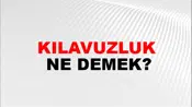 Kılavuzluk