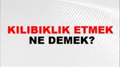 Kılıbıklık Etmek