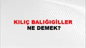 Kılıç Balığıgiller