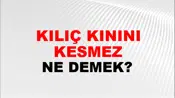 Kılıç Kınını Kesmez