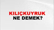 Kılıçkuyruk