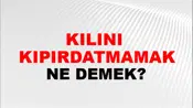 Kılını (Bile) kıpırdatmamak (veya oynatmamak)