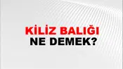 Kiliz Balığı