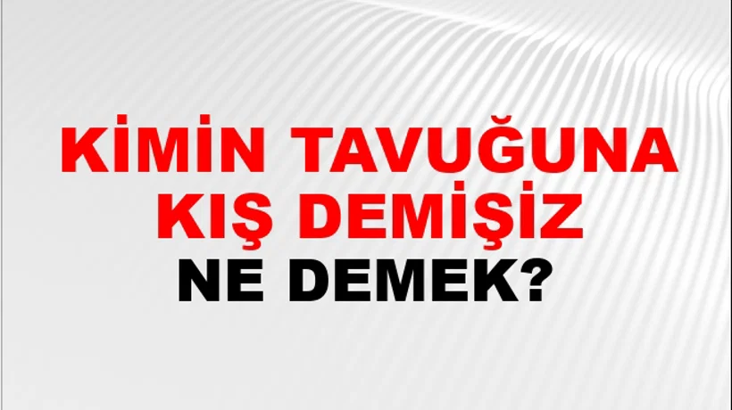 Kimin Tavuğuna Kış Demişiz Kimin Tavuğuna Kış Demişiz