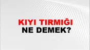 Kıyı Tırmığı