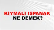 Kıymalı Ispanak