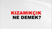 Kızamıkçık