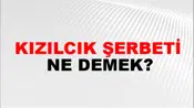 Kızılcık Şerbeti