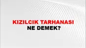 Kızılcık Tarhanası