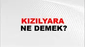Kızılyara