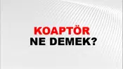 Koaptör