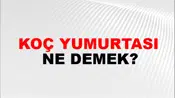Koç Yumurtası