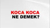 Koca Koca