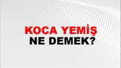 Koca Yemiş
