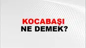 Kocabaşı