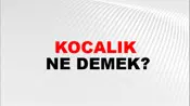 Kocalık