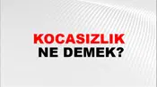 Kocasızlık