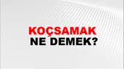 Koçsamak