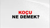 Koçu