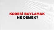 Kodesi Boylamak