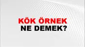 Kök Örnek