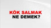 Kök Salmak