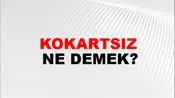 Kokartsız