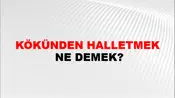 Kökünden Halletmek