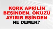 Kork Aprilin Beşinden, Öküzü Ayırır Eşinden