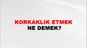 Korkaklık Etmek