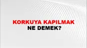 Korkuya Kapılmak