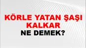 Körle Yatan Şaşı Kalkar