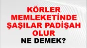 Körler Memleketinde Şaşılar Padişah Olur