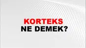Korteks