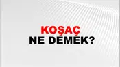 Koşaç