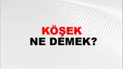 Köşek