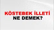 Köstebek İlleti