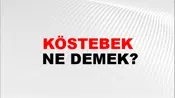Köstebek