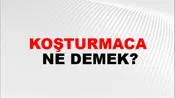 Koşturmaca