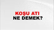 Koşu Atı