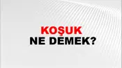 Koşuk