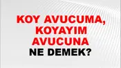 Koy Avucuma, Koyayım Avucuna