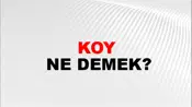 Koy