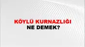 Köylü Kurnazlığı