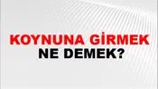 Koynuna Girmek
