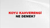Koyu Kahverengi