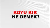 Koyu Kır
