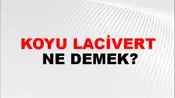 Koyu Lacivert
