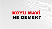 Koyu Mavi