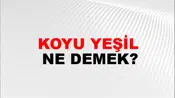 Koyu Yeşil